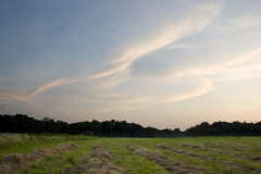 Clouds after sunset over a hay field in Bridgewater, Massachusetts.  Summer.