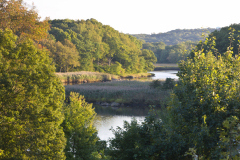 The wetlands on the lower, tidal portion of the Taunton River in Dighton, Massachusetts.  Recently designated a Wild and Scenic River.