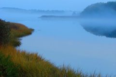 Taunton River, Somerset (photo credits Nancy Durfee)